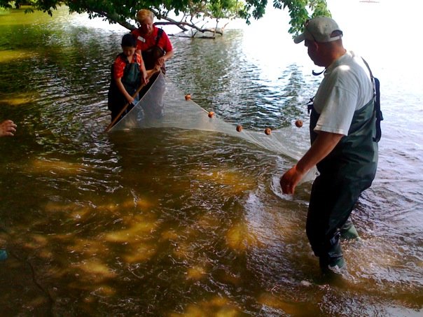 4894_115870586326_2833140_n