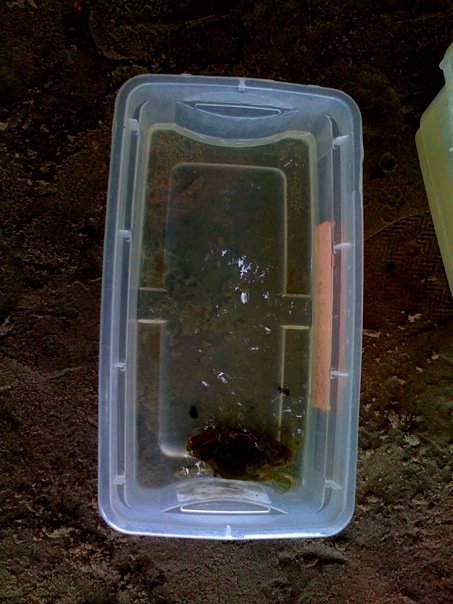 4894_115870601326_3361947_n