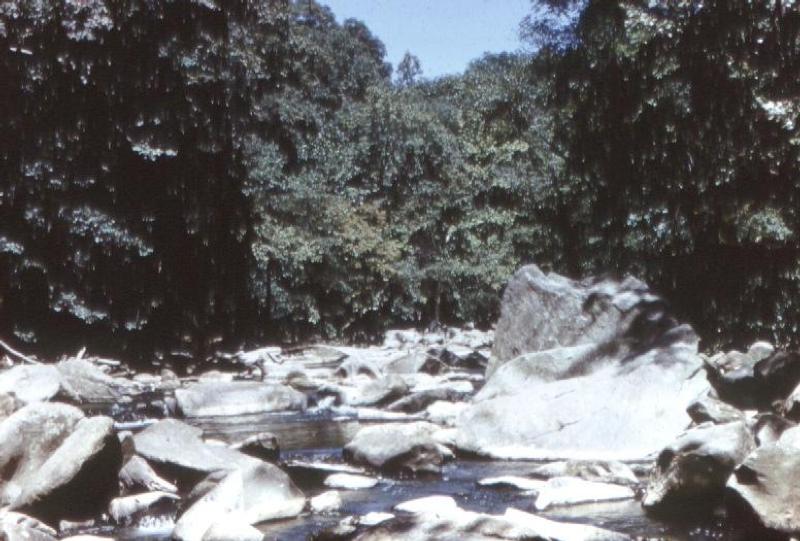 2B71FFE3-1DD8-B71C-07CBAC5BFE127E18-large