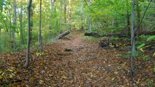 FA94C5D6-1DD8-B71B-0B3EF71D393D7C2A